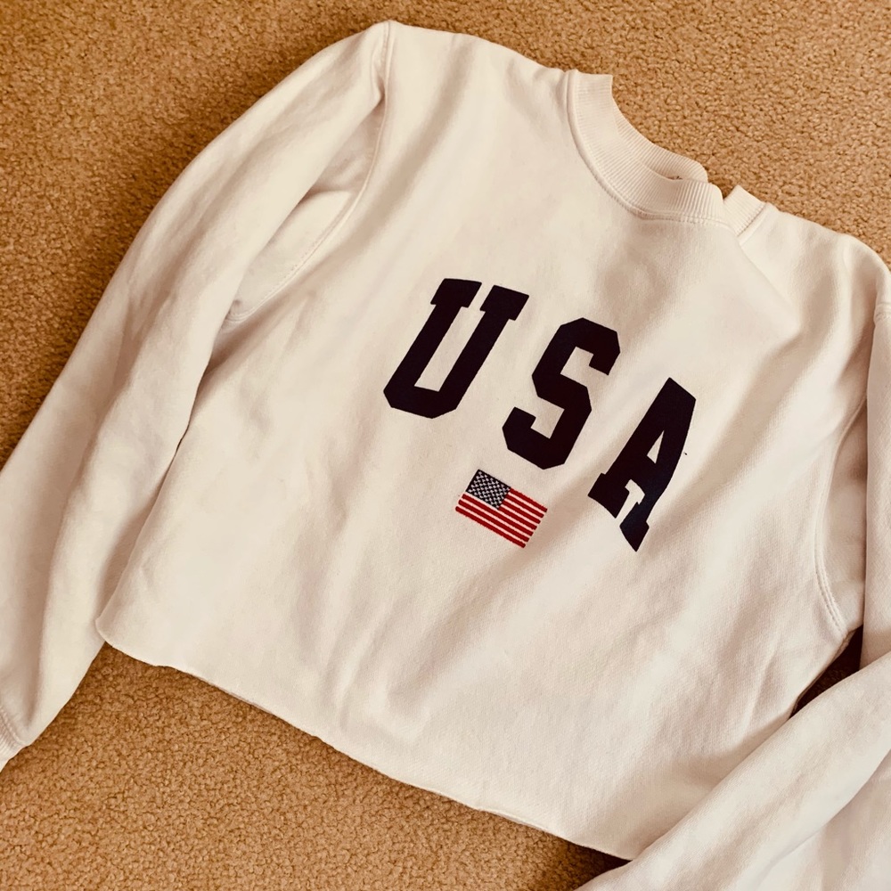 Brandy Melville USA Cropped Sweatshirt